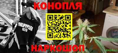 хмурый Гатчина