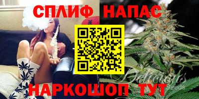 хмурый Гатчина