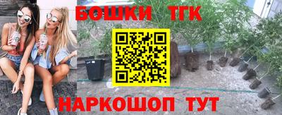 ПСИЛОЦИБИНОВЫЕ ГРИБЫ Гай